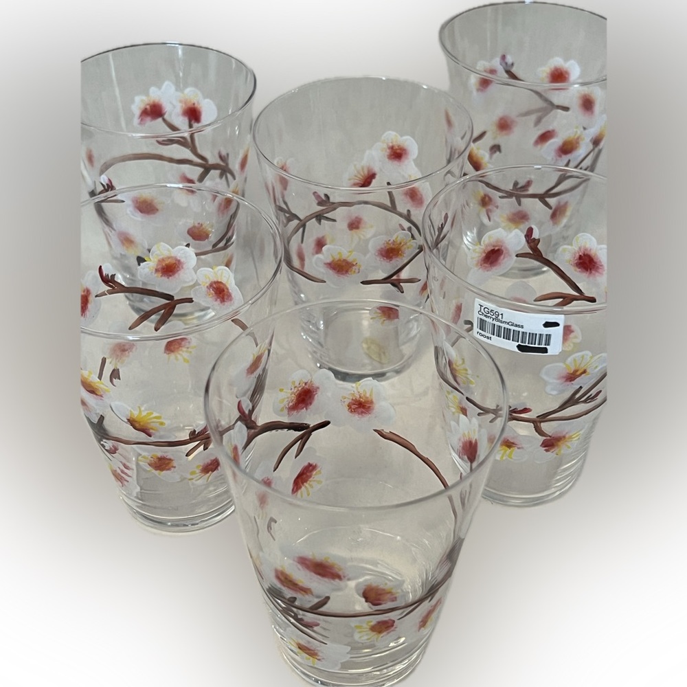roost set of 6 painted cherry blossom glasses-6oz-NWT